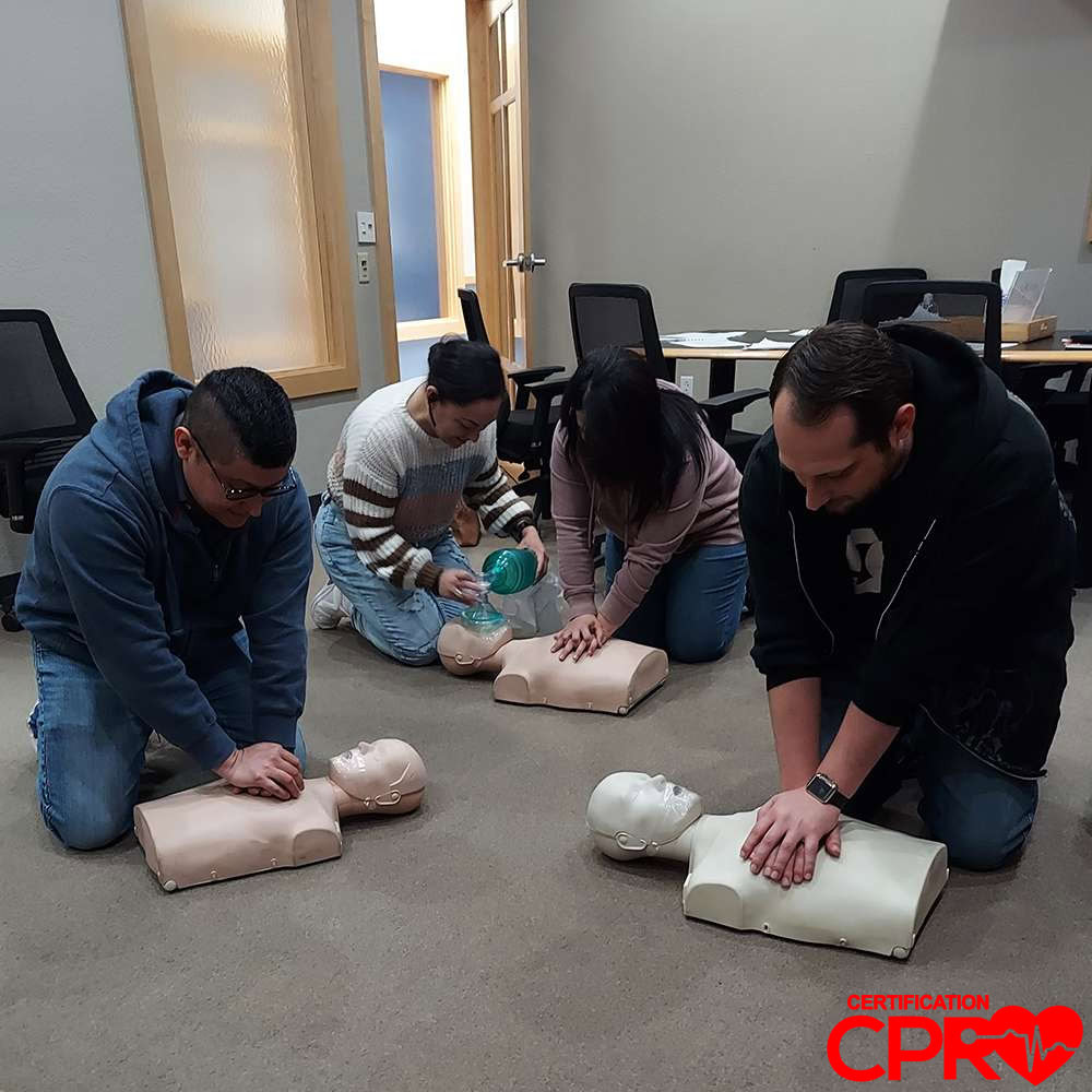 People practicing CPR on mannequins during training session.